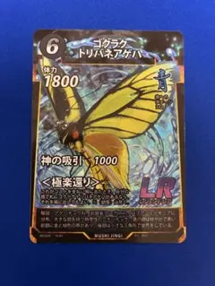 2025年最新】トリバネアゲハの人気アイテム - メルカリ