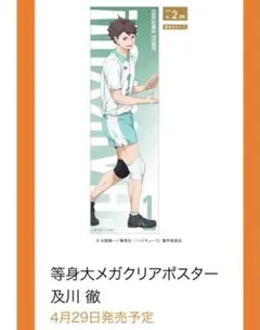 ハイキュー!! 黒尾鉄朗 等身大メガクリアポスター ベースヤード