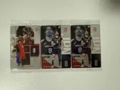 男子バレーボール日本代表ツインウエハース2026　スペシャルイラスト　関田誠大