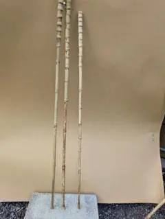 カジキ 角 1m超え カジキ 角 1m超え - メルカリ