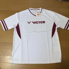 Item thumbnail for item 24b296cf-73e4-4b75-8835-c6aa7c496727