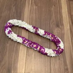 Item thumbnail for item ca3e9537-237e-4fa2-8e1a-61b142c4bbf2