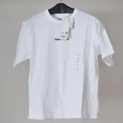 Item thumbnail for item f68a239a-425a-4feb-9d4e-9dcc34262035