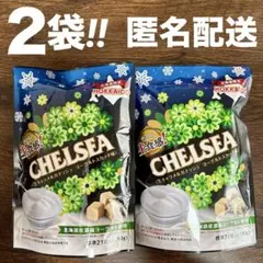 홋카이도 한정 첼시 요거트 스카치 2팩 세트 생 첼시 기념품