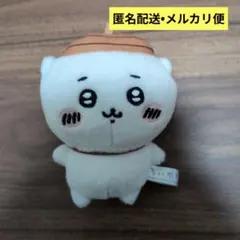 未使用　ちいかわ　どんぐり　帽子　マスコット　ぬいぐるみ　アミューズメント景品のサムネイル
