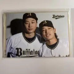 2025年最新】廣岡大志の人気アイテム - メルカリ