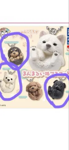 2025年最新】まんまるいぬ ガチャの人気アイテム - メルカリ