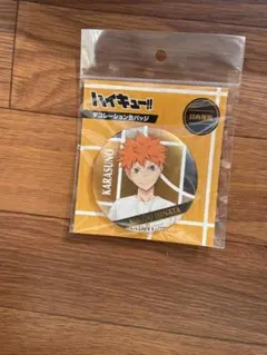 ハイキュー!! 日向翔陽デコレーション缶バッジ