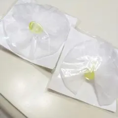 Item thumbnail for item c752bc85-4908-4e8c-897d-a473c580d6aa