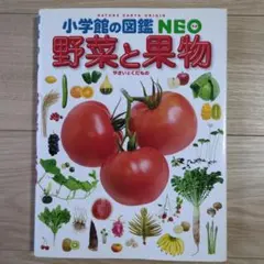 Item thumbnail for item 05d691bf-c11a-4d7d-84b3-be464fd287dd