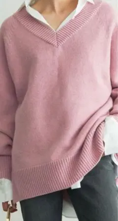 【toyo 様専用】GALLARDA GALANTE Vネックニット　セーター