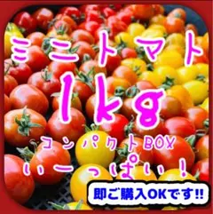 【✨️お得なセット✨️】ミニトマトMIX 1kg 美味しい野菜⑤のサムネイル