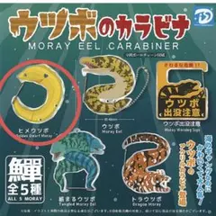 Item thumbnail for item d283ad47-49cb-4e53-a7db-5ce9c9b67311