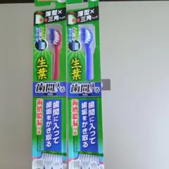 生葉 歯間に入るブラシ コンパクト ふつう 2本セットのサムネイル
