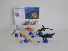 2025年最新】カプセルQ プレシオサウルスの人気アイテム - メルカリ