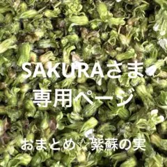 専用ページ 農薬不使用栽培 自家栽培 野菜詰め合わせ 紫蘇の実 しその実 ☆