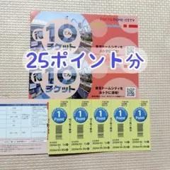 東京ドームシティ得10チケット 25ポイントのサムネイル