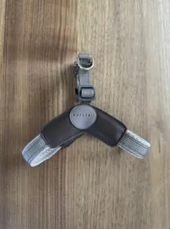 Item thumbnail for item 2755d755-ec35-4475-85e8-0bec39f3f209