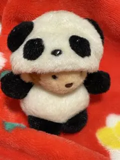 Item thumbnail for item 2ea2592e-cba7-402f-ad38-952ca1c6793c