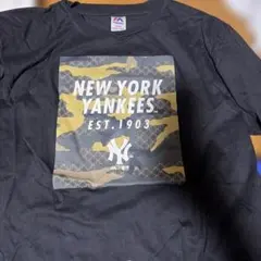 Item thumbnail for item 62458d87-fdba-494c-82d1-e6d6d5580429