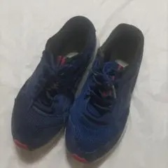 【ジャンク品】26cm MIZUNO ミズノ スニーカー 靴 ネイビーのサムネイル