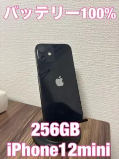 【バッテリー100%】 iPhone12mini 256GB ミッドナイト