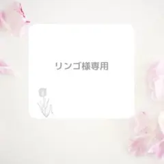 リンゴ様専用　ヌビバッグ　サイズS タウンバッグ　サブバッグ