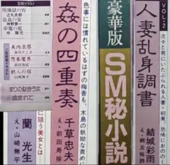 【絶版】別冊スナイパー 1981年6月 　　　千草忠夫 団鬼六 小妻容子 沖渉二 絶版】別冊スナイパー 1981年6月 千草忠夫 団鬼六 小妻容子 沖渉二