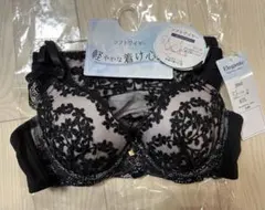 Elegante ブラジャーショーツセット A75 ブラック