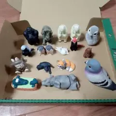 Item thumbnail for item 2a66d005-2869-44ee-b83d-547536ac0657