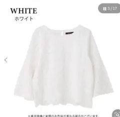 花柄レースブラウス　フレアスリーブ　総レース