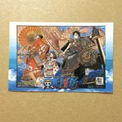2006 ジャンプフェスタ カイロ 特典 ステッカー ワンピース ロビン ルフィ