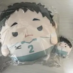 ハイキュー‼︎ ぬいくじ2 ふわコロりん てのりんず 松川一静セット