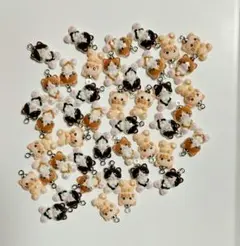 Item thumbnail for item 10692424-0f76-40b2-8411-78da294144bb