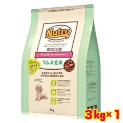 Item thumbnail for item 0a5a9528-9ba6-4585-9033-f15a859de01b