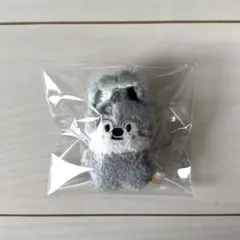 stray kids skzoo バンチャン Wolfchan ウルフチャン