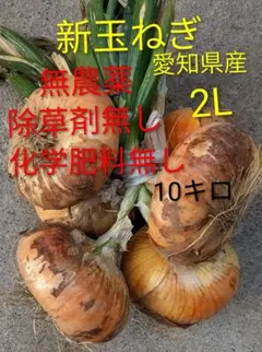 掘り立て発送‼️徳島産無農薬新じゃがいも いんかのめざめ2Lサイズ 3
