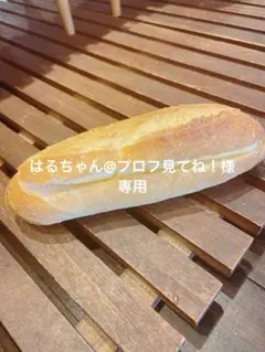 はるちゃん@プロフ見てね！様専用
