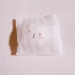 SEVENTEEN MINITEEN マグネット ウジ