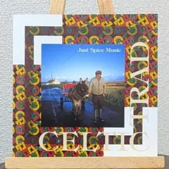 Just Spice Music 魂の響き ケルトの音楽　Celtic Road