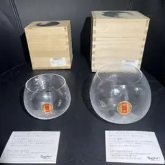 sghr スガハラ 果物グラス   特選 スペシャルセレクション【新品 箱入】