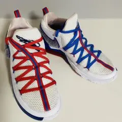 2026年最新】lebron 17 redの人気アイテム - メルカリ