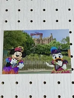 東京ディズニーランド ディズニー・ハロウィーン2022 写真 ミニー＆デイジー