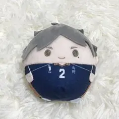 2025年最新】菅原孝支 ふわコロりんの人気アイテム - メルカリ