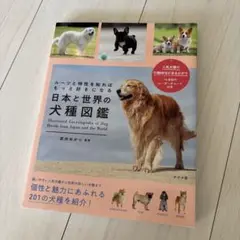 Item thumbnail for item f1efe6b9-dd52-443b-8af1-a7fe18e7669e