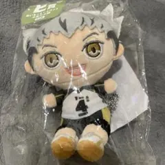 ハイキュー ぬいもっち フリューくじ E賞 木兎光太郎