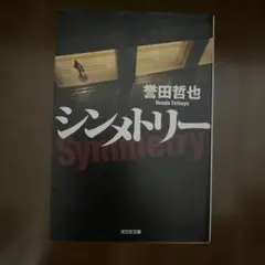 シンメトリー