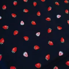 【はぎれ】綿100% 管理番号84