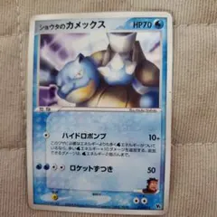 シリーズ:PCG;listno_Pokemon:20505;カード名:ショウタ…のサムネイル