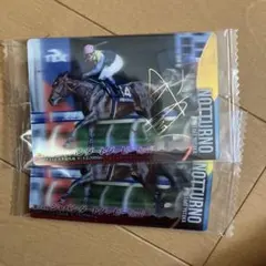 サラブレッドホースコレクション　ノットゥルノ　金箔サイン＆ノーマル